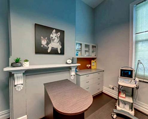 Vet Connection Consult room Interior Design