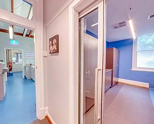 Veterinary Dog Treatment area Design by Stiely Design
