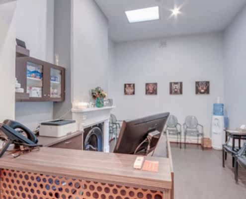 Vet Connection Reception Area Interior Design